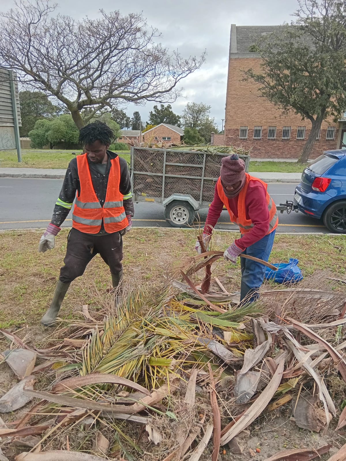 Two workers wearing orange safety vests clearing dried plant debris and branches from a grassy area in front of a brick building