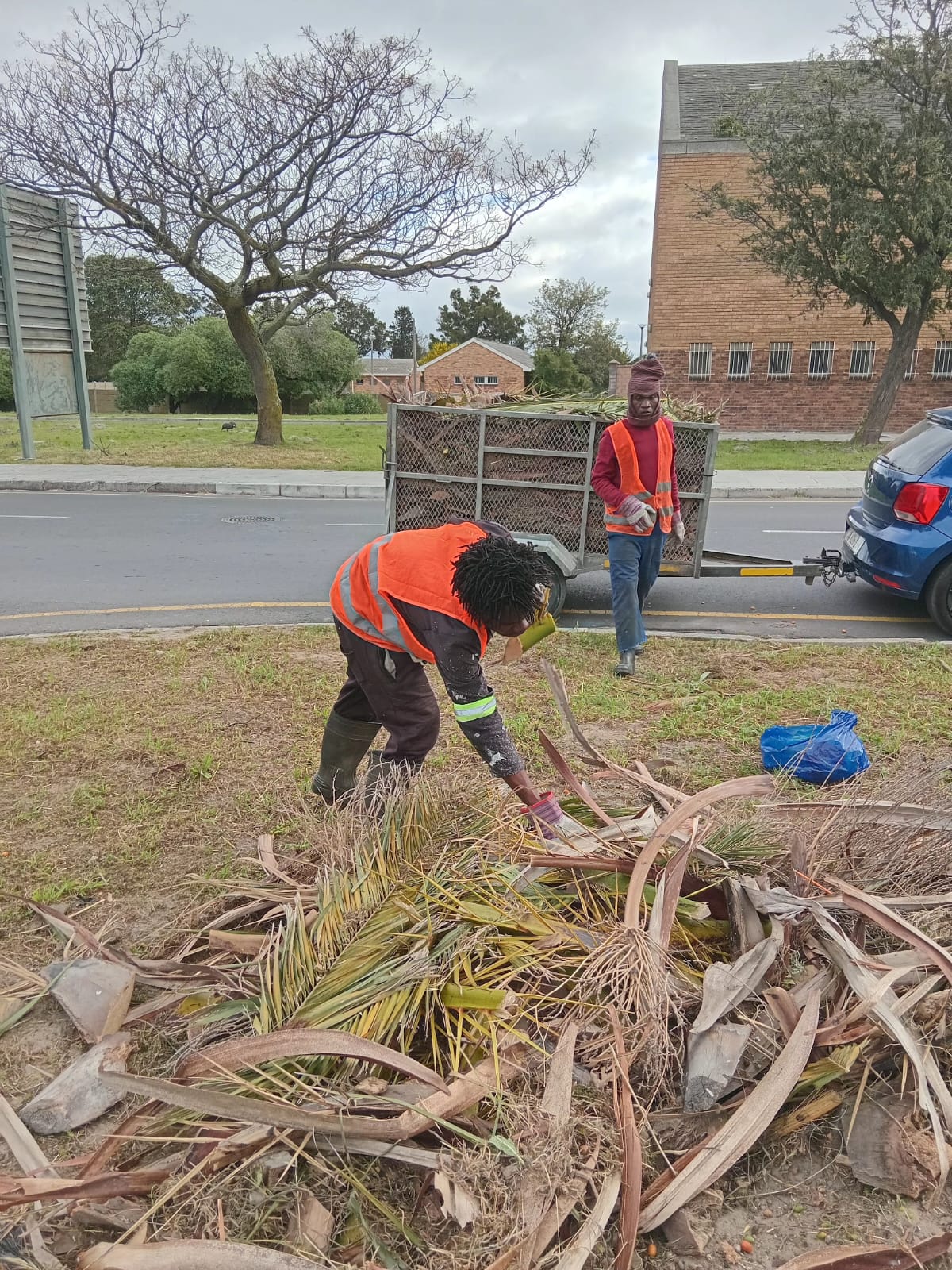 Two workers in high-visibility vests clearing overgrown vegetation and debris from a roadside area near a brick building and parked vehicles