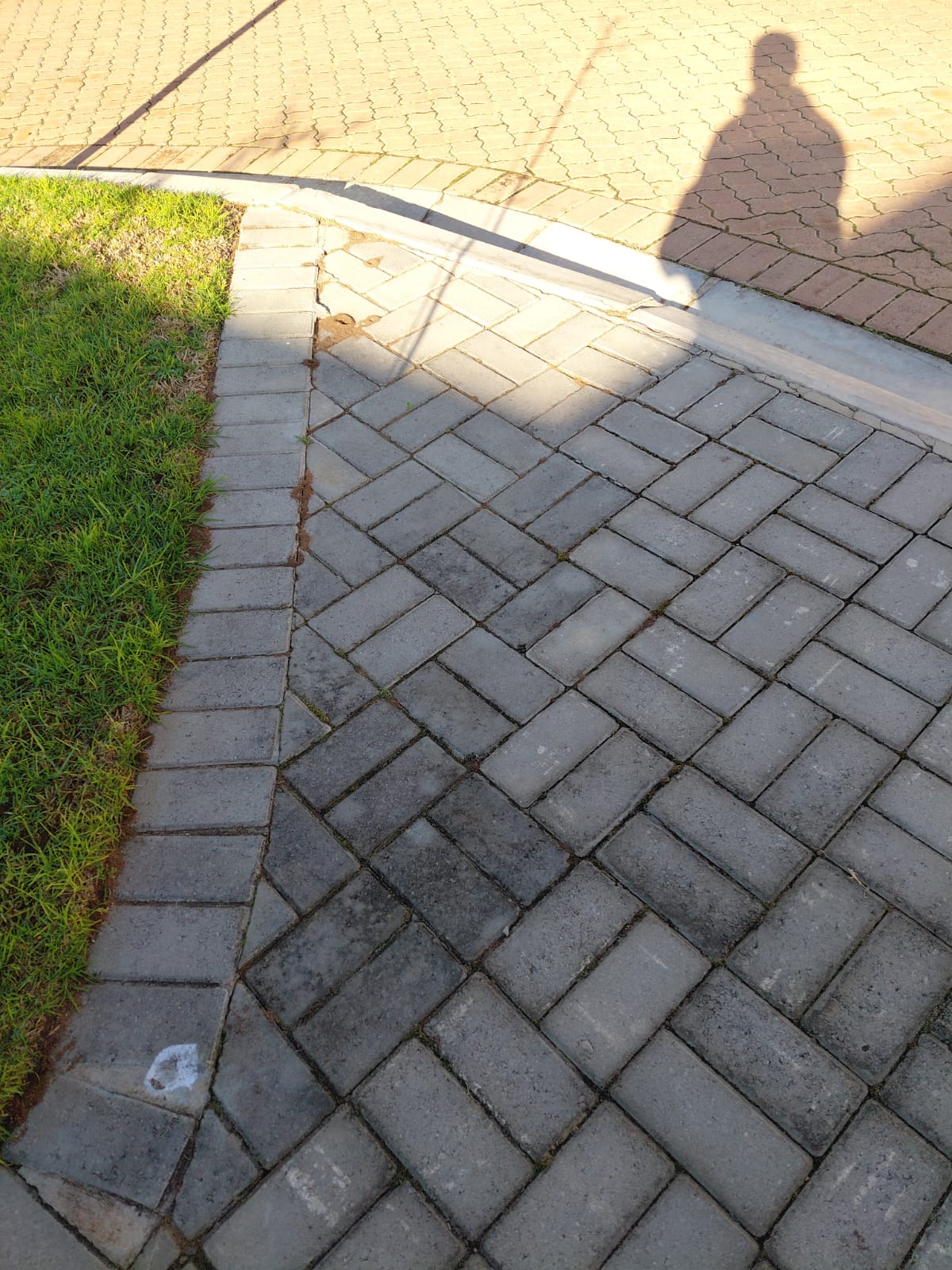 Paved driveway with herringbone brick pattern