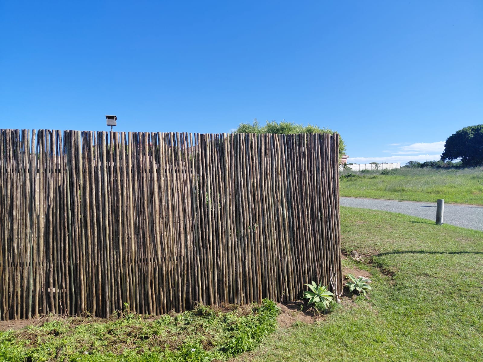 Rustic wooden palisade fence enclosing grassy area