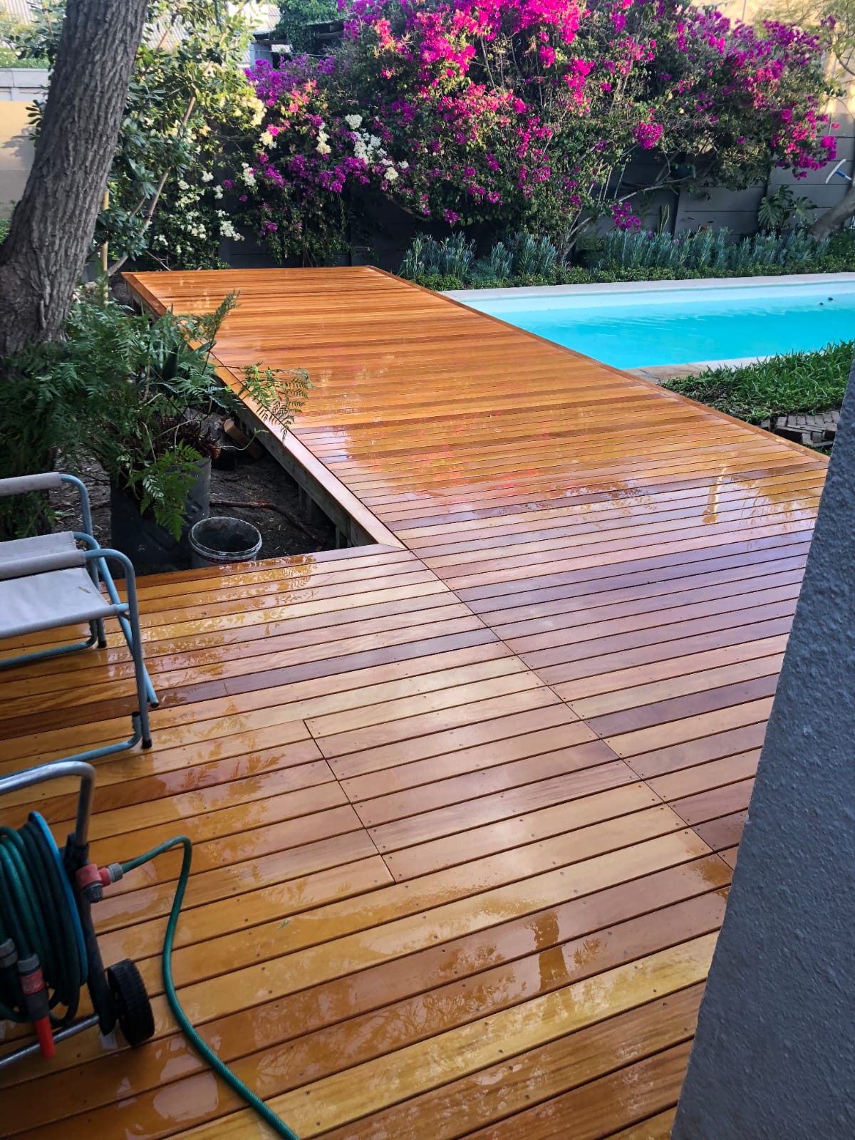 Backyard deck and pool with bougainvillea