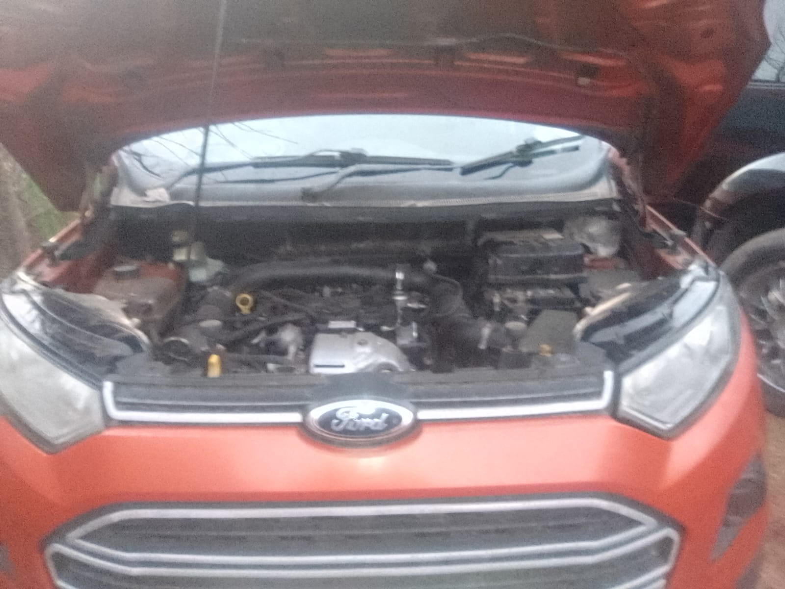 Open hood of a red Ford vehicle displaying engine compartment