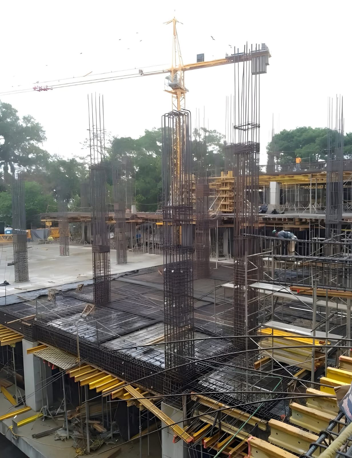 Multi-storey building with tower crane in operation