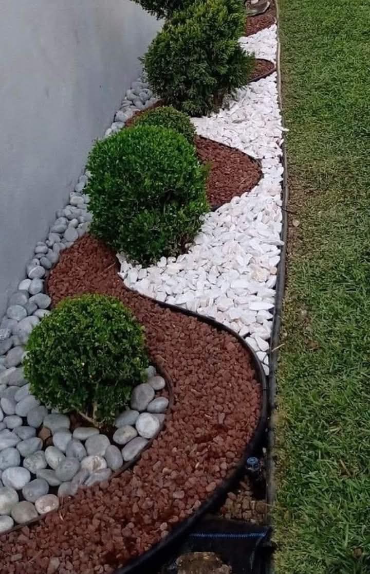 Landscaped garden bed with white and red mulch and boxwood shrubs