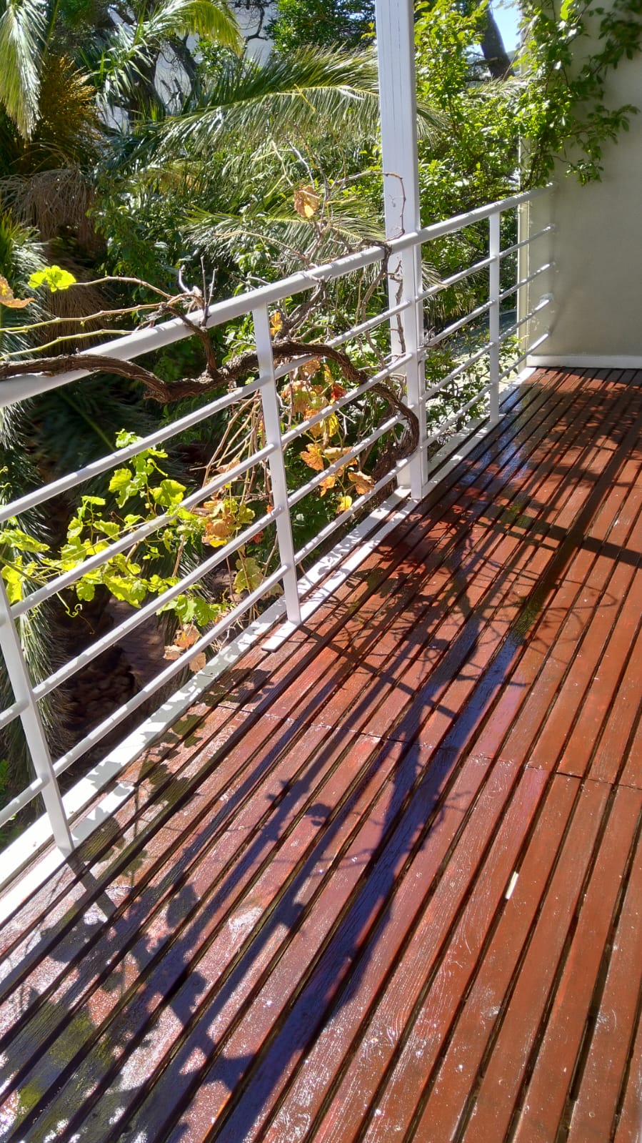 Wooden deck with metal railings overlooking tropical garden