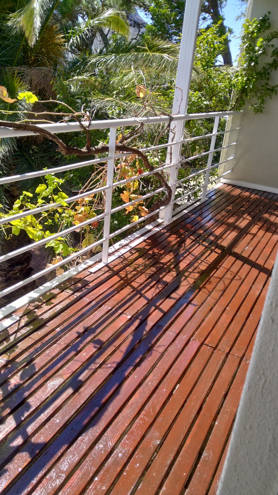 Custom timber deck overlooking lush tropical garden