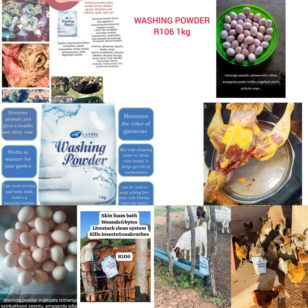 Liavita multi-purpose washing powder uses collage