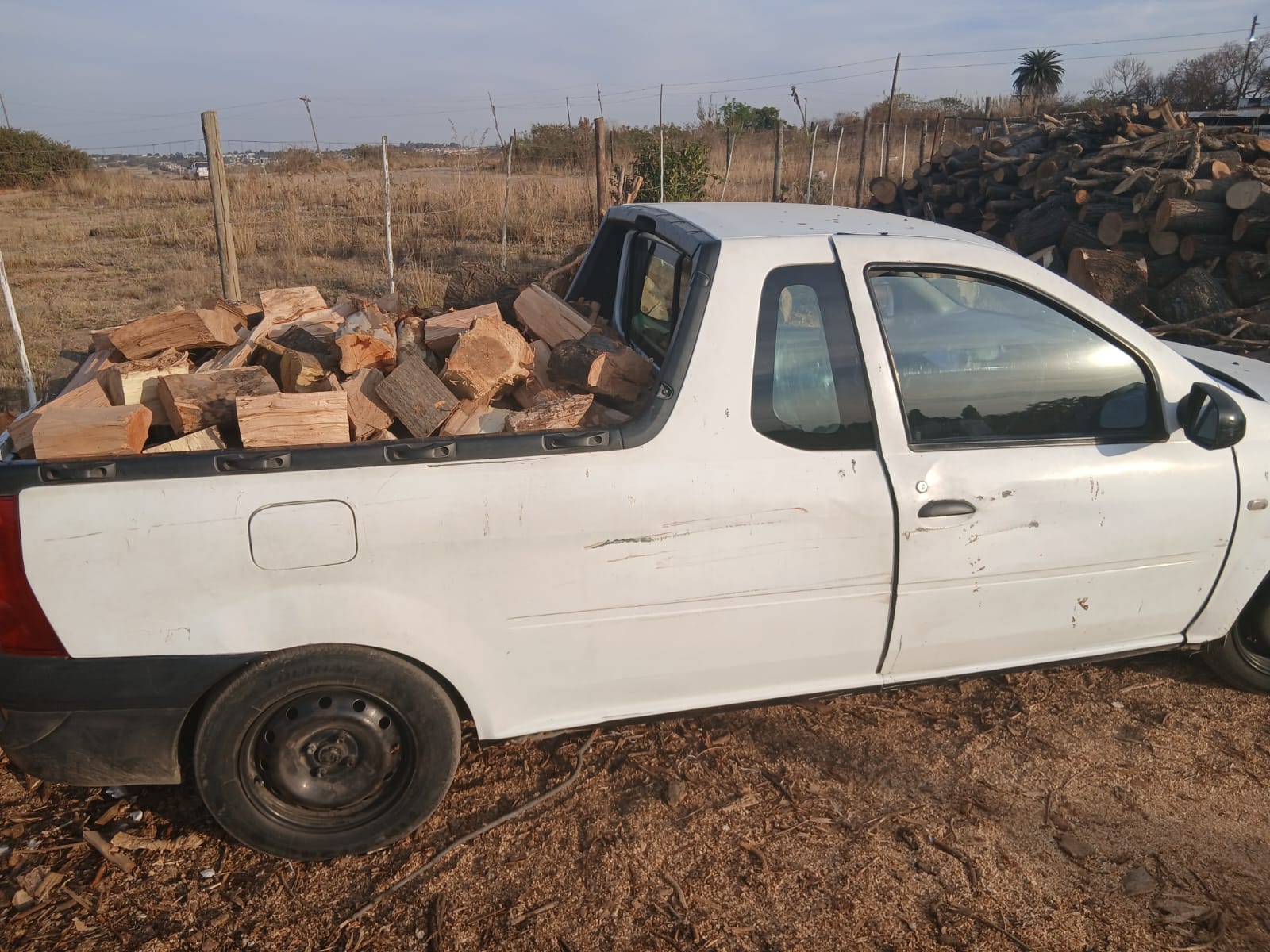White pickup truck loaded with chopped firewood parked at a rural lumber yard with stacked logs