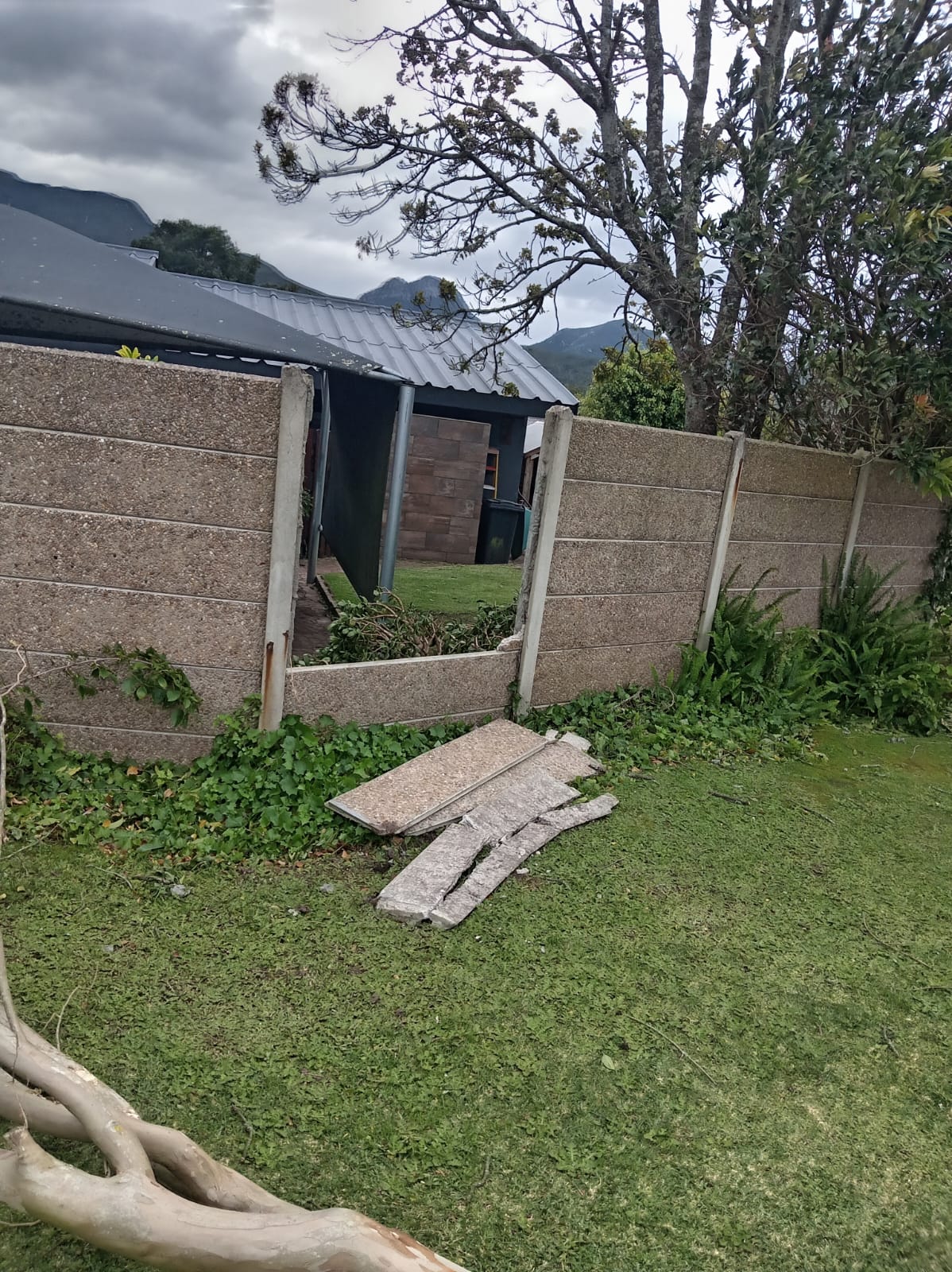 Backyard with concrete block fencing