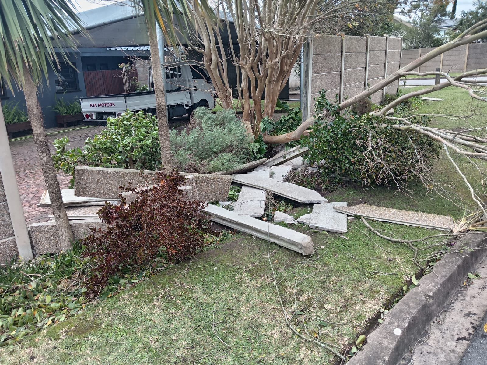 Residential property with overgrown garden