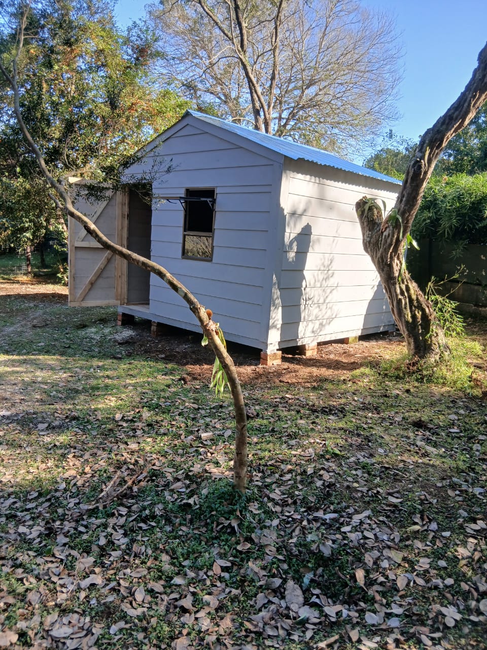 Small white shed with blue roof in residential garden setting