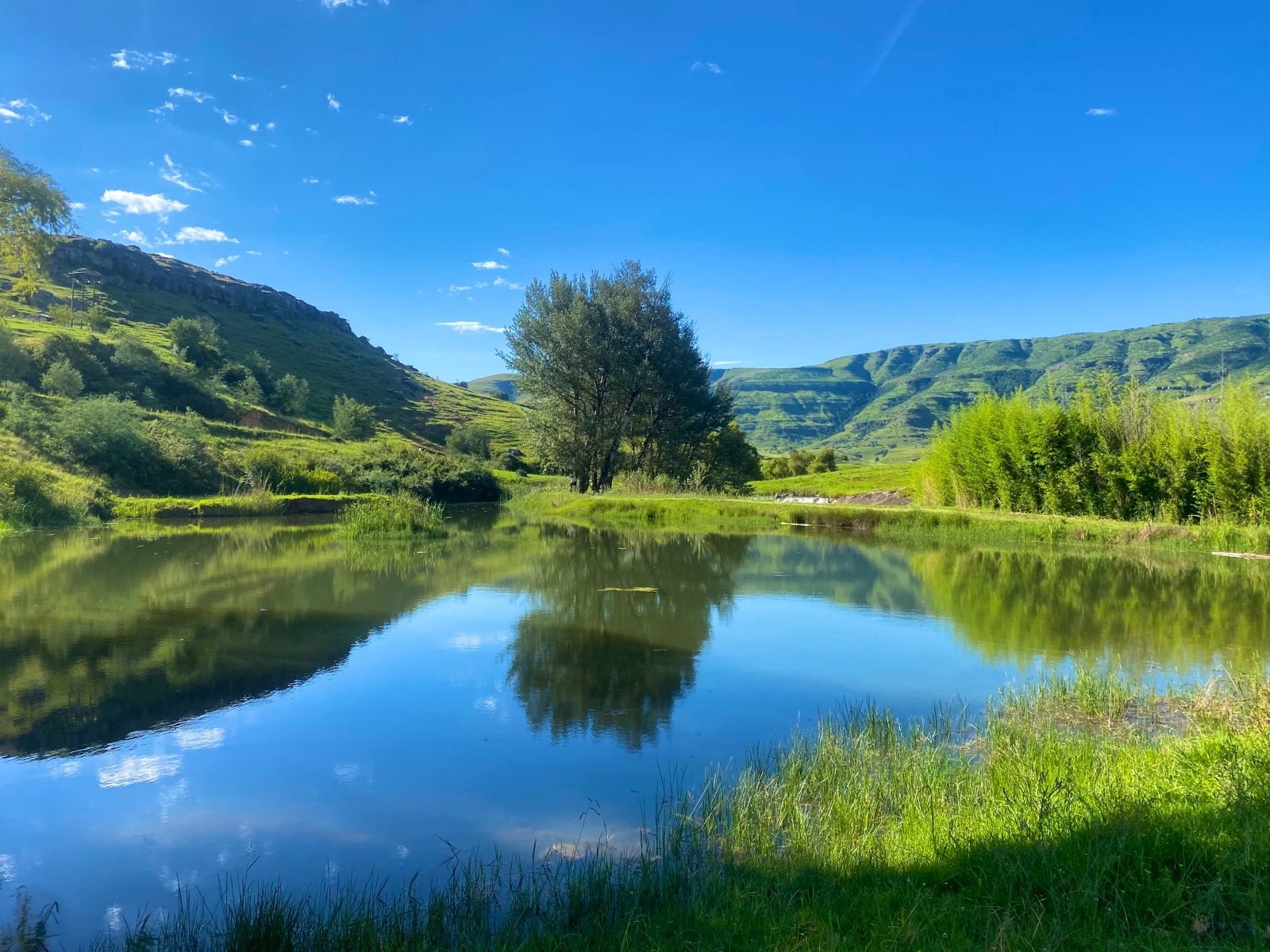 Serene river winding through a lush green valley