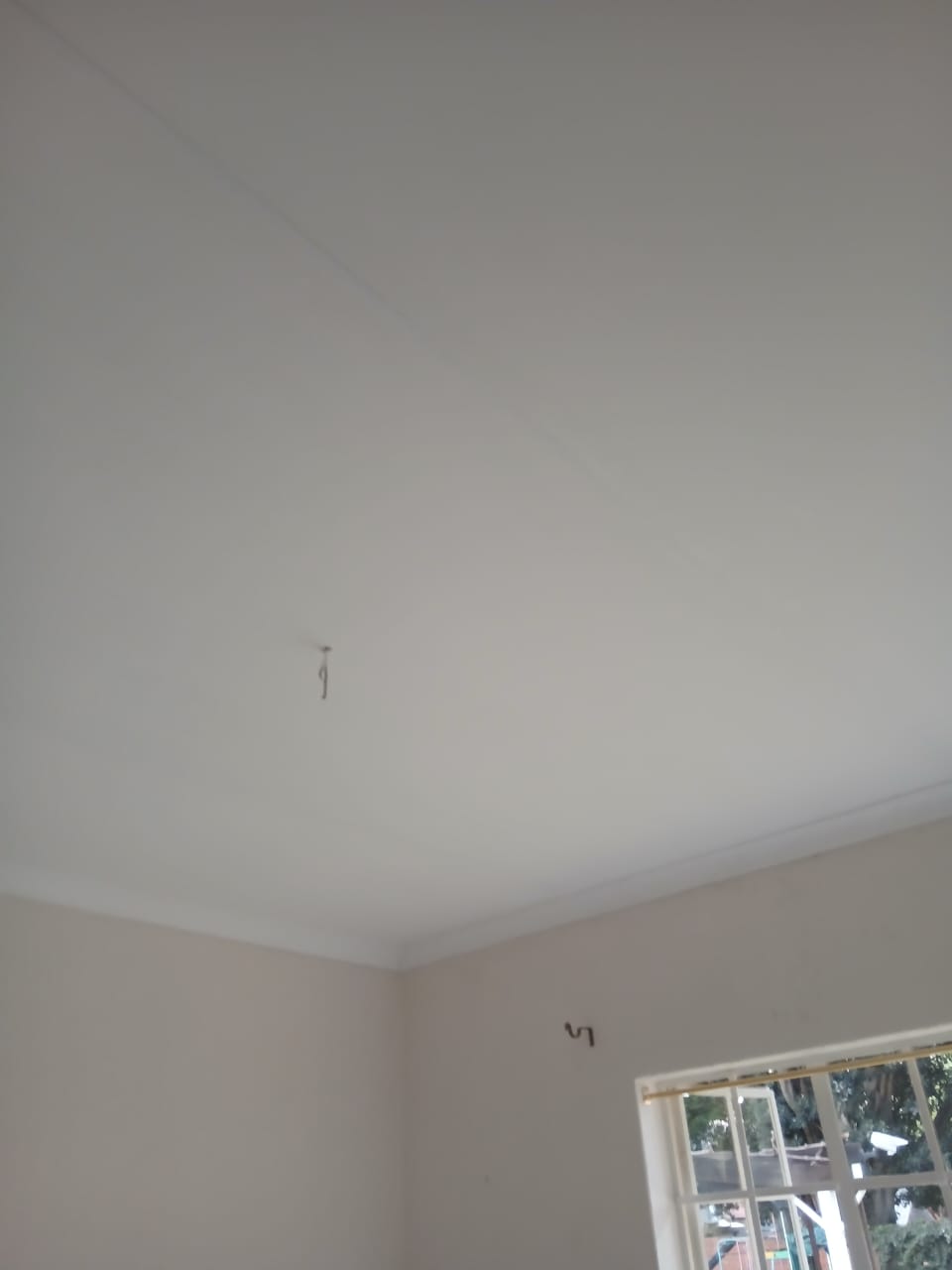 Gallery image 14