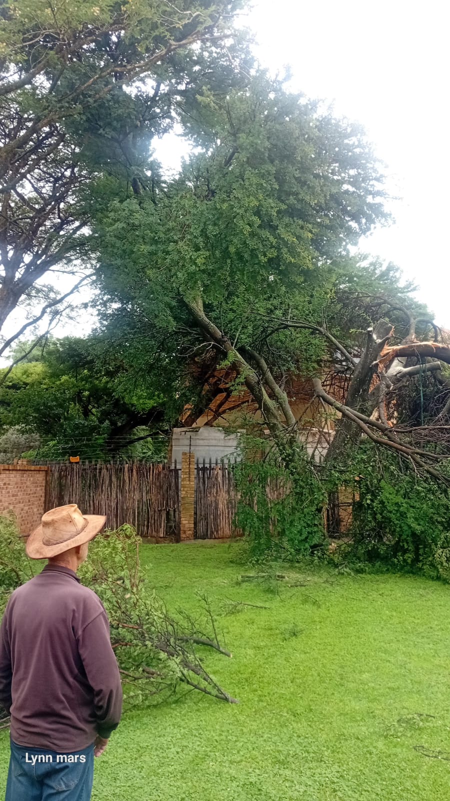 Team member at Ally and Lee Enterprise providing expert tree felling services