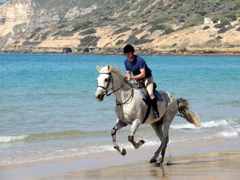 Beach Horse Riding